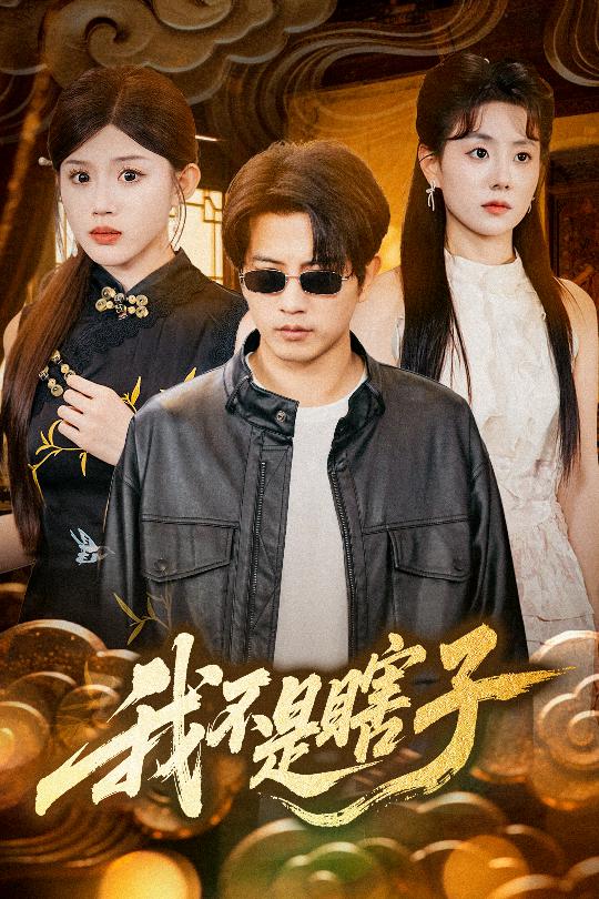 我不是瞎子的封面图