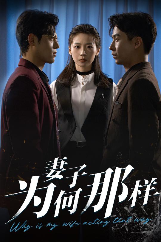 妻子为何那样的封面图