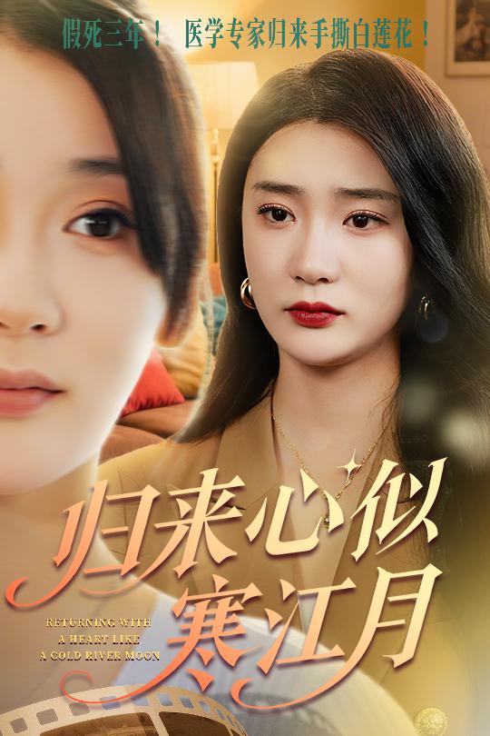 归来心似寒江月的封面图