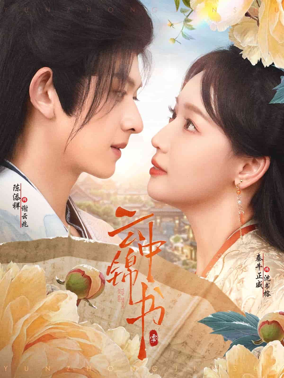 云中锦书的封面图