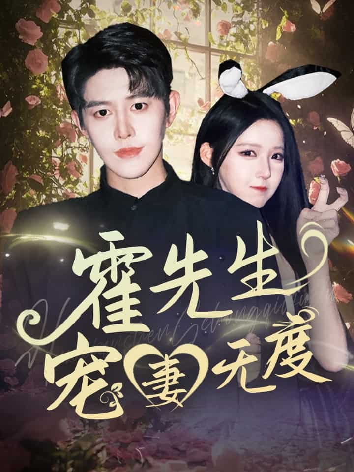 霍先生宠妻无度的封面图
