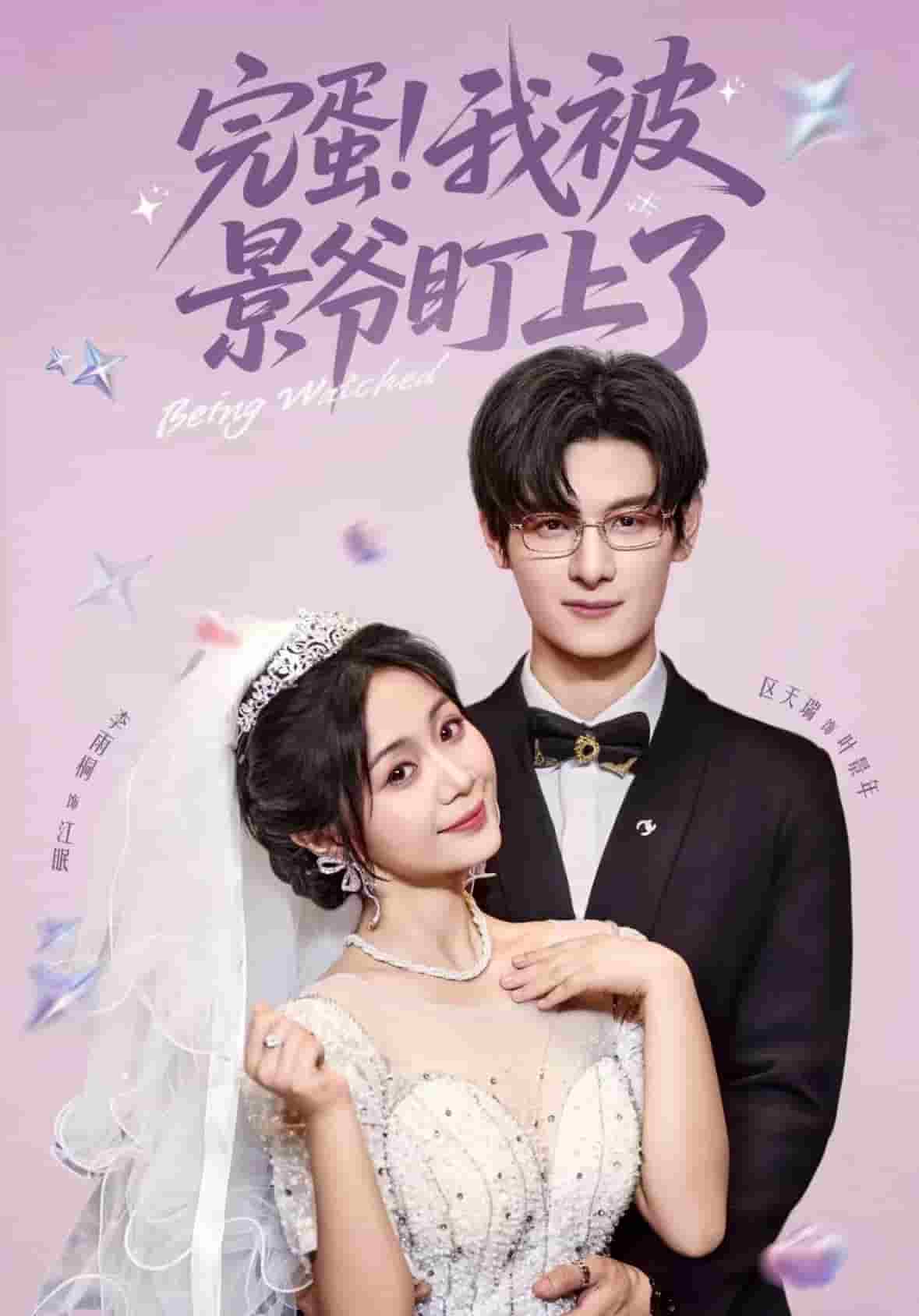 完蛋我被景爷盯上了的封面图