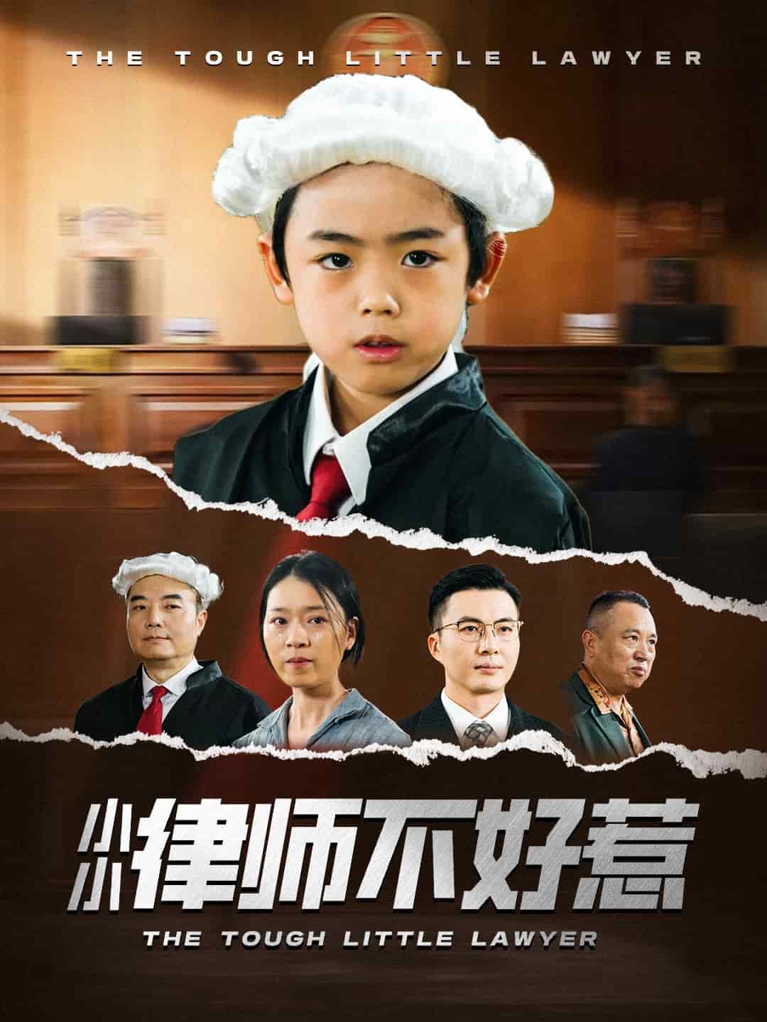 小小律师不好惹的封面图