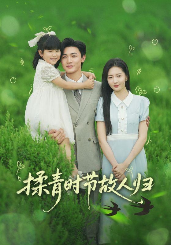 揉青时节故人归的封面图