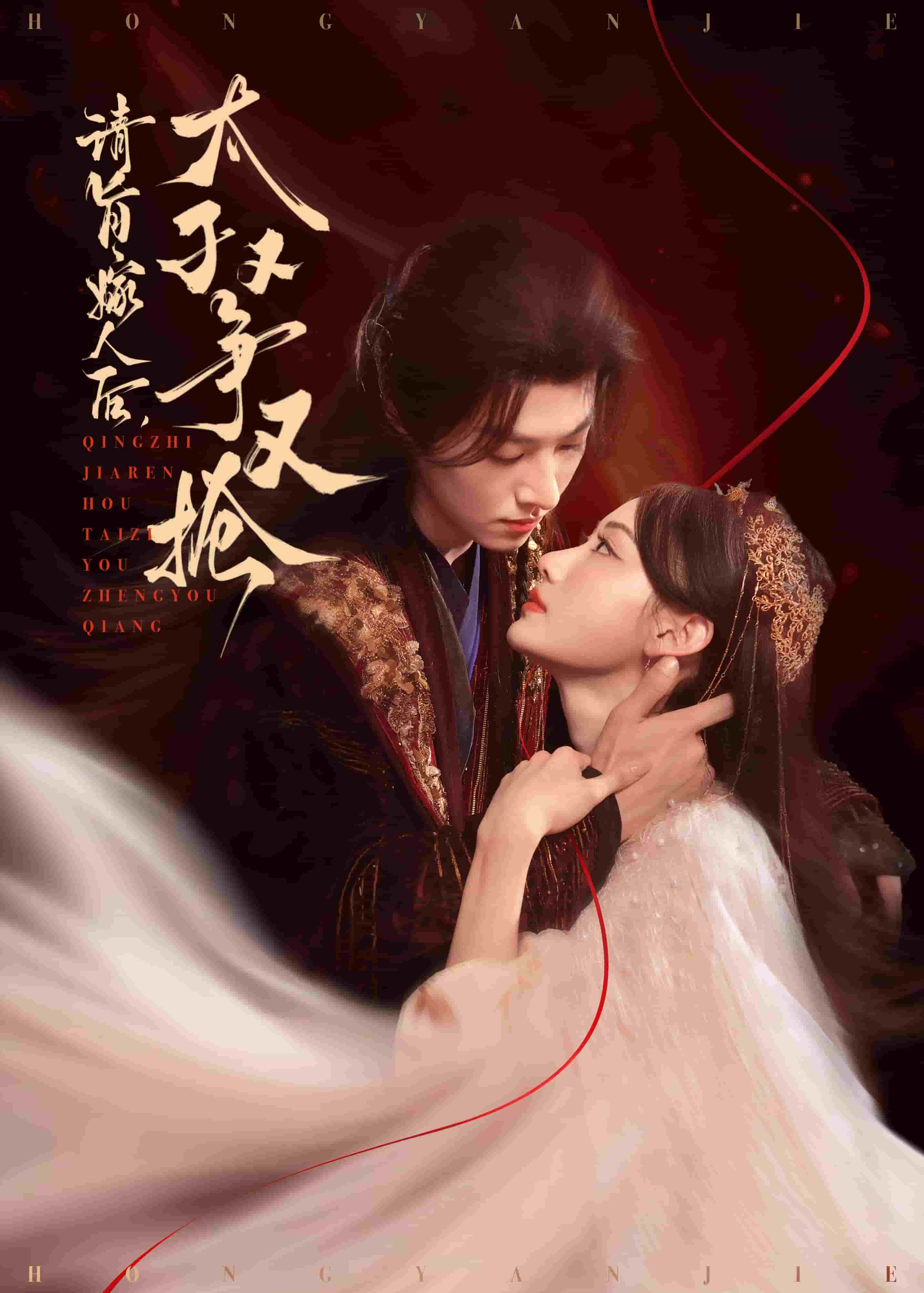请旨嫁人后太子又争又抢
