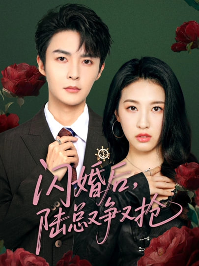 闪婚后陆总又争又抢的封面图