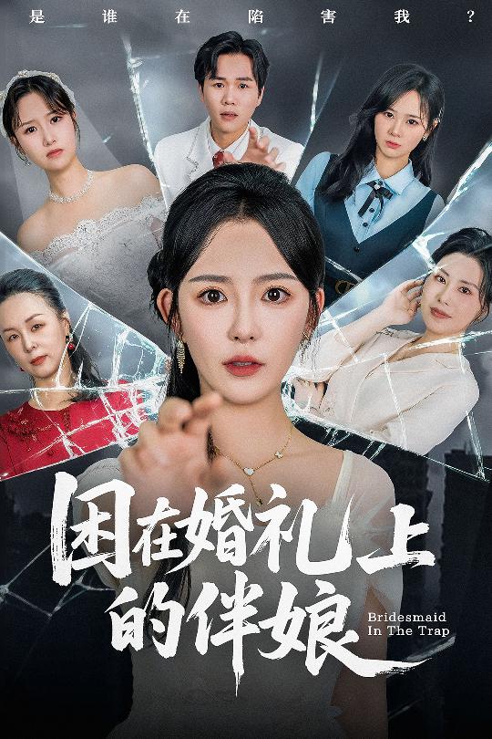 困在婚礼上的伴娘的封面图