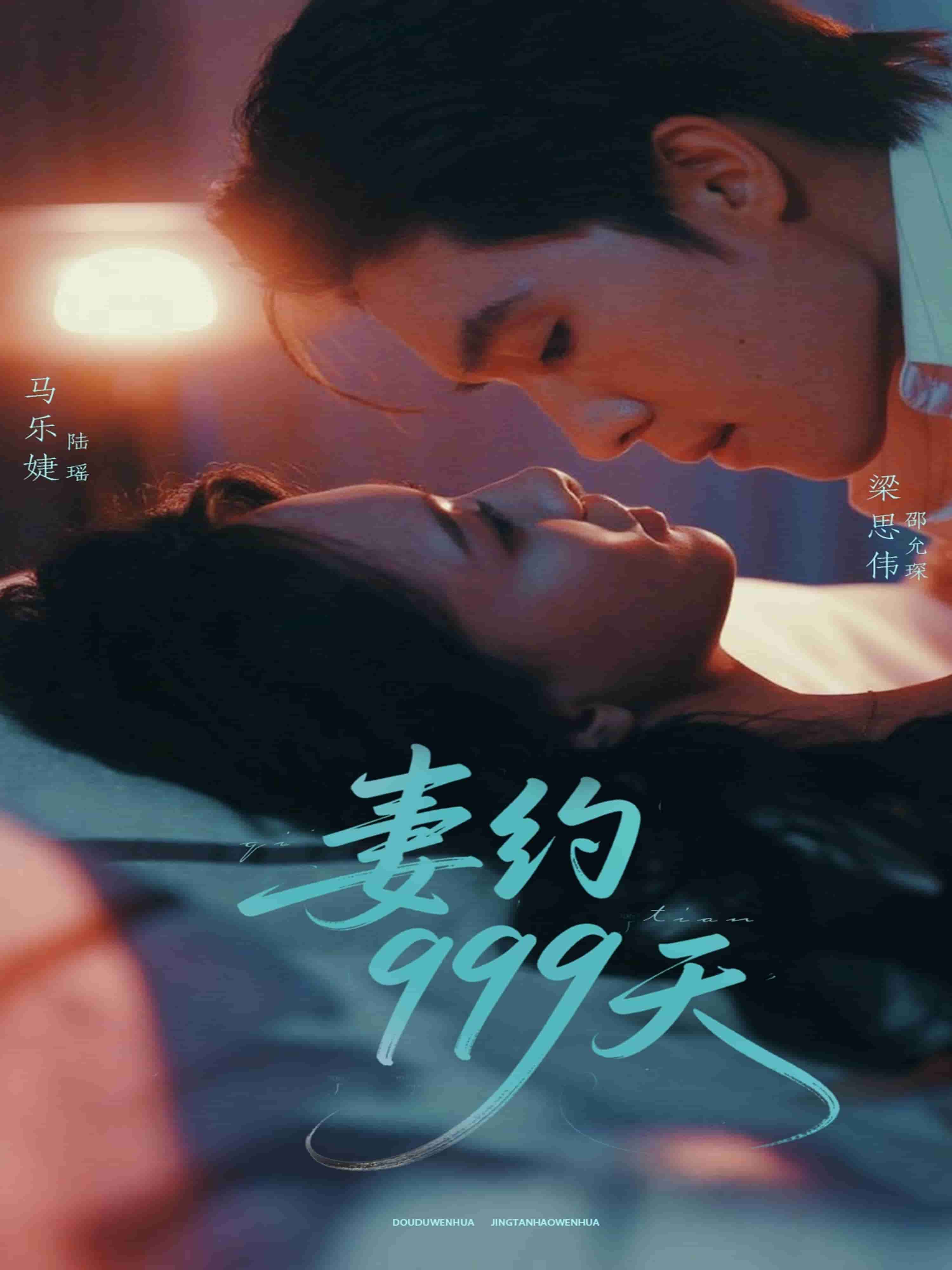 妻约999天的封面图