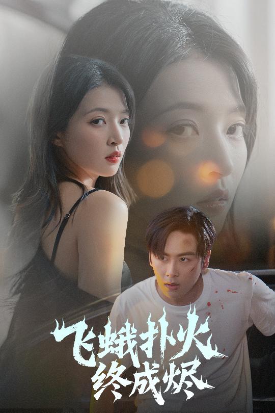 飞蛾扑火终成烬的封面图
