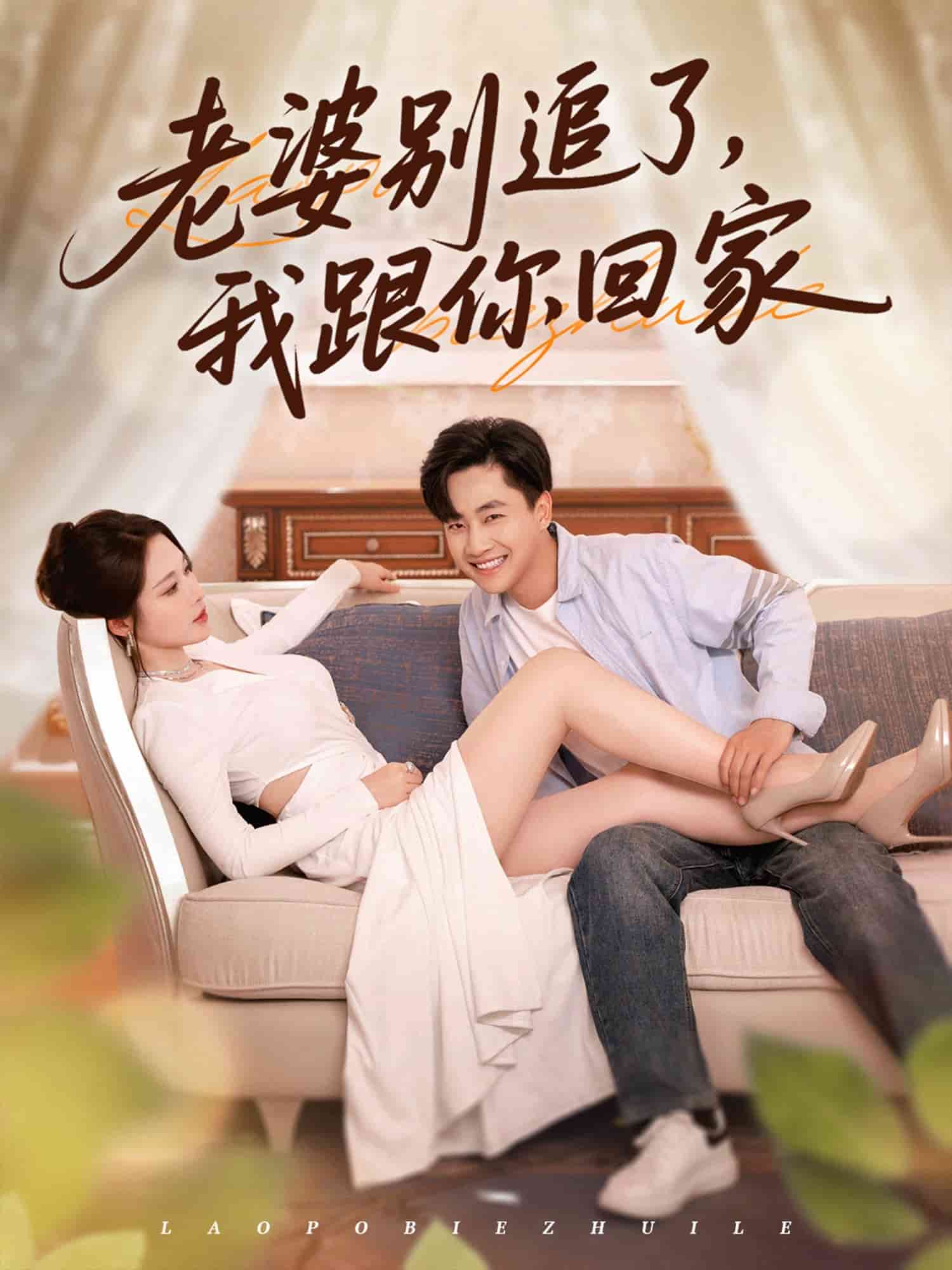 老婆别追了我跟你回家的封面图