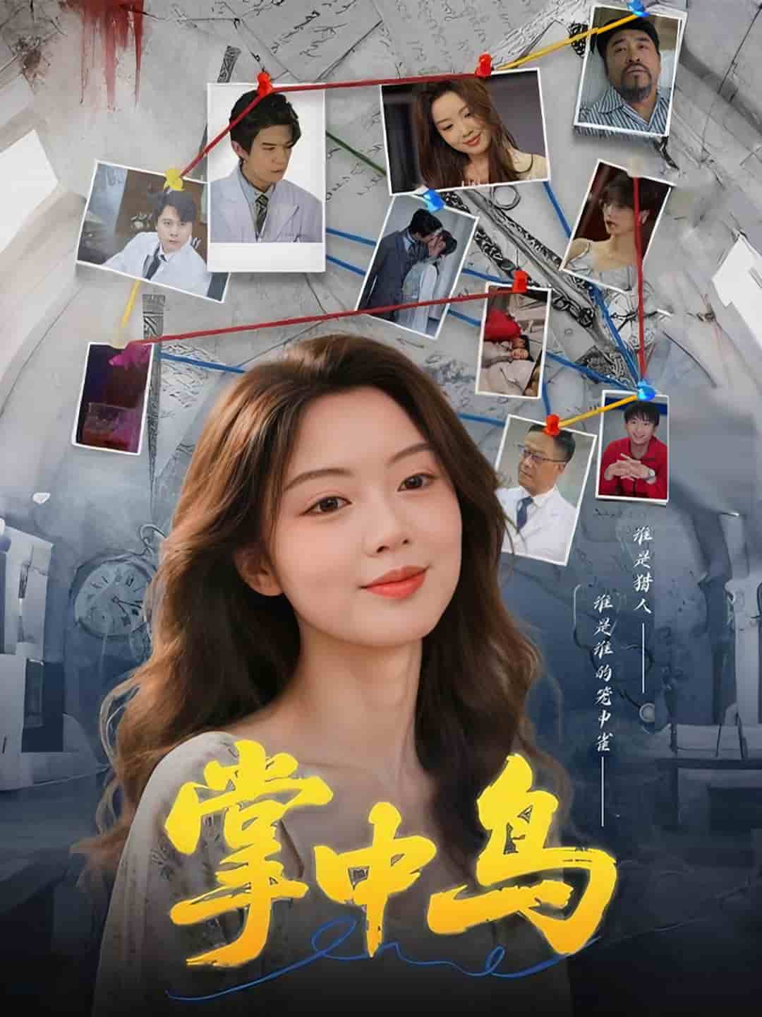 掌中鸟的封面图