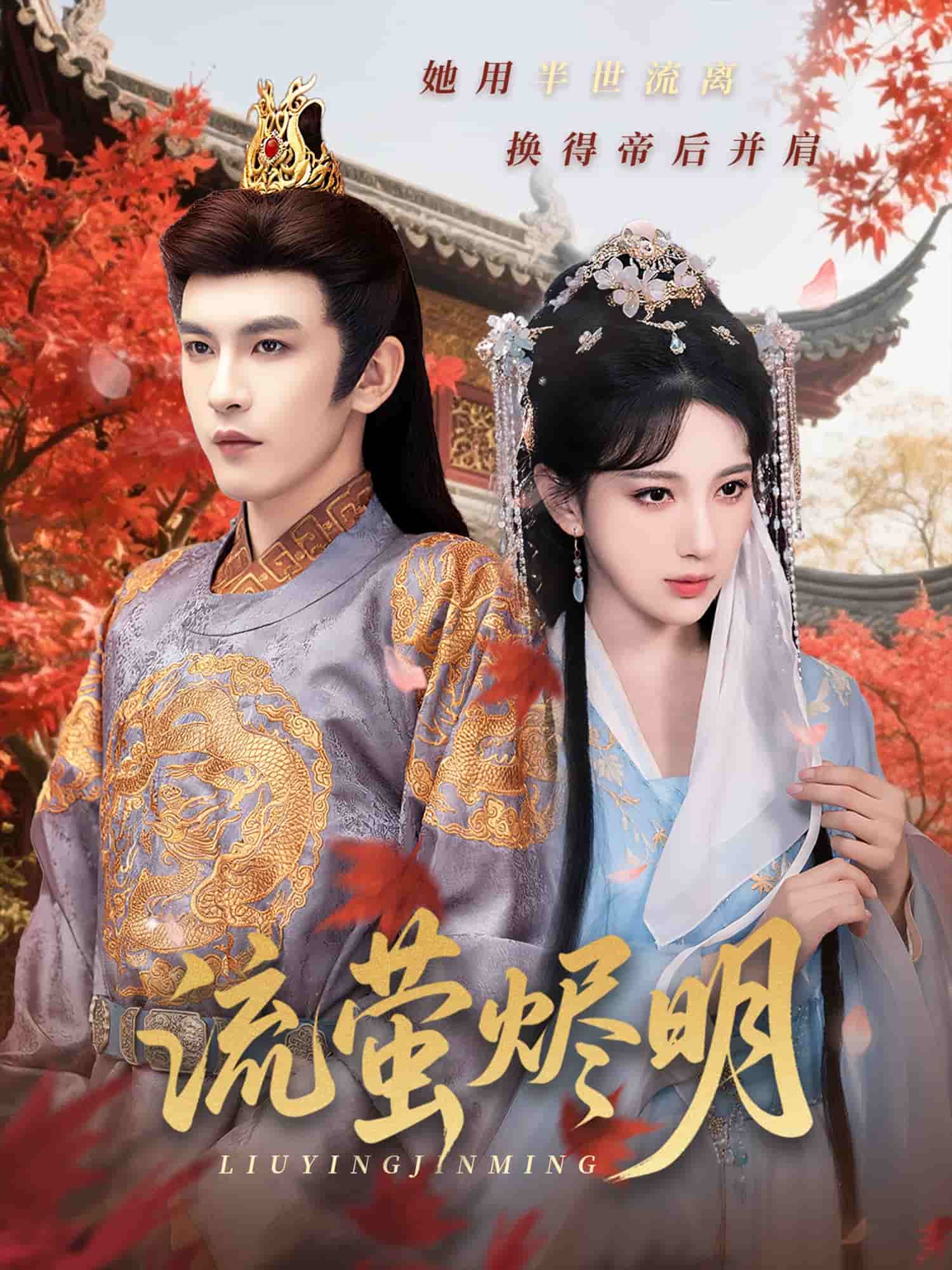 流萤烬明的封面图