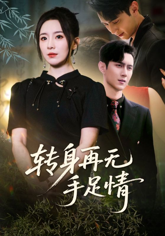 转身再无手足情的封面图