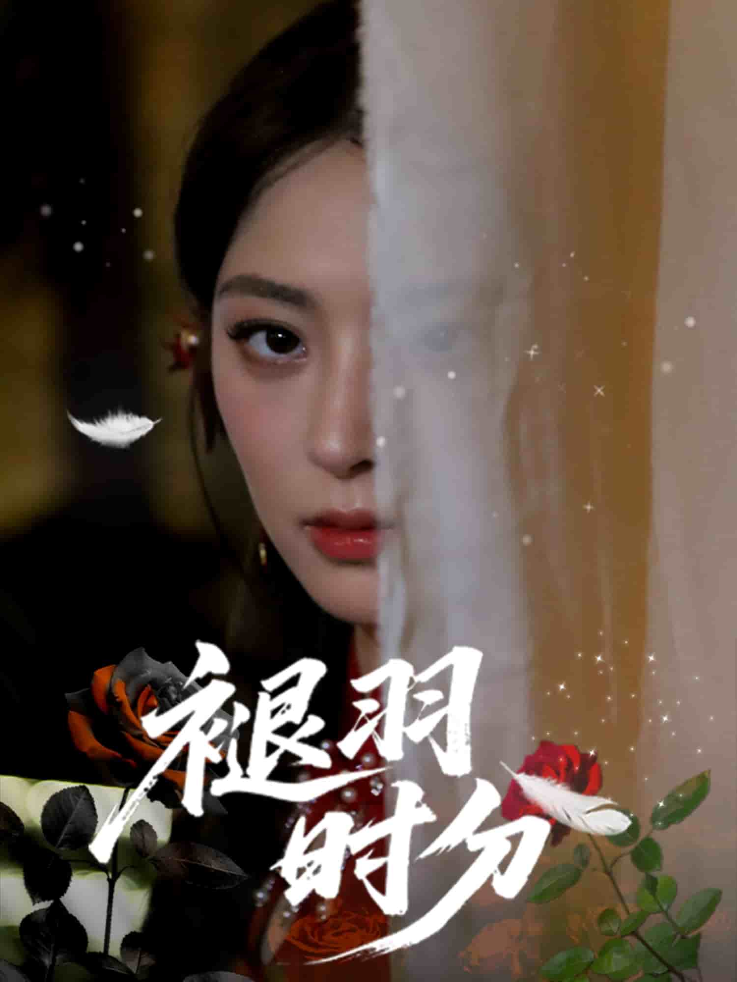 褪羽时分的封面图