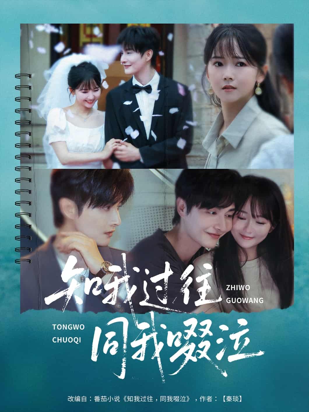 知我过往同我啜泣的封面图