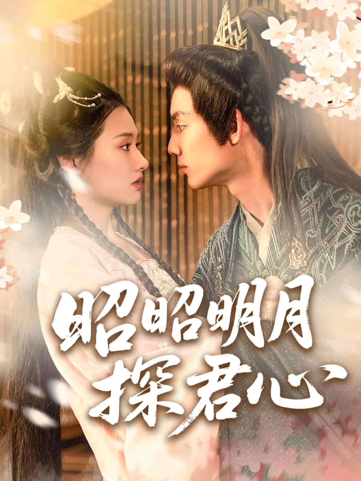 昭昭明月探君心的封面图