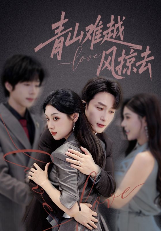 青山难越风掠去的封面图