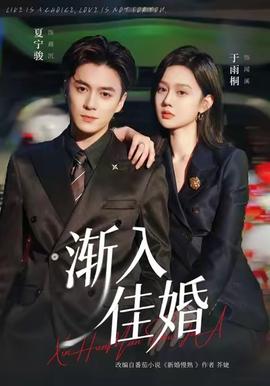 渐入佳婚的封面图