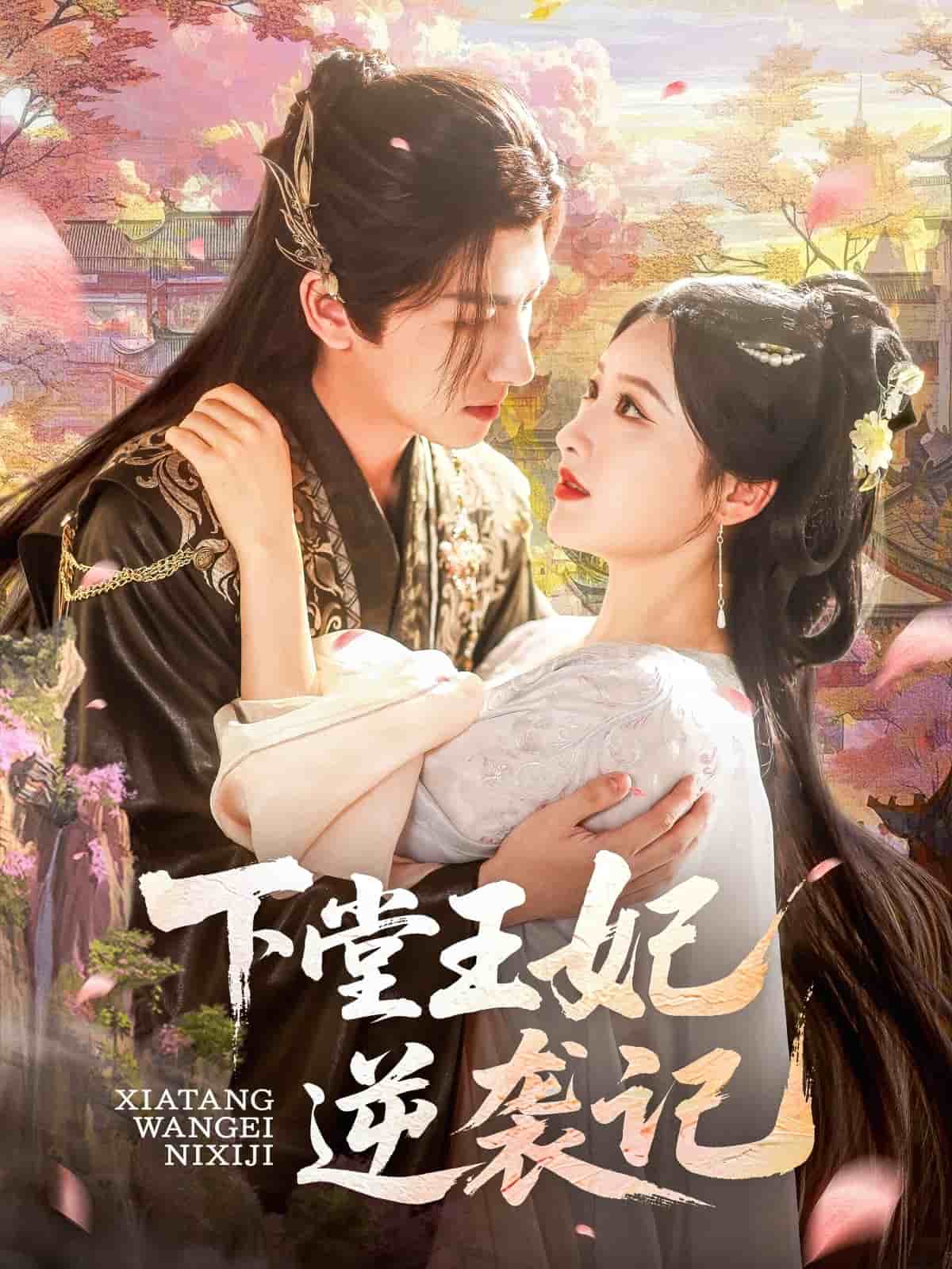 下堂王妃逆袭记海报