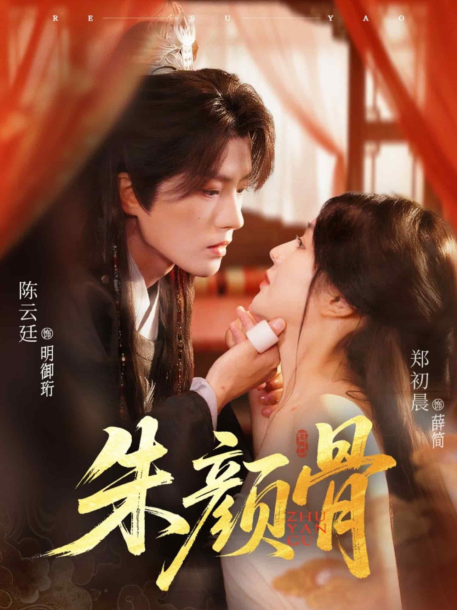 朱颜骨的封面图