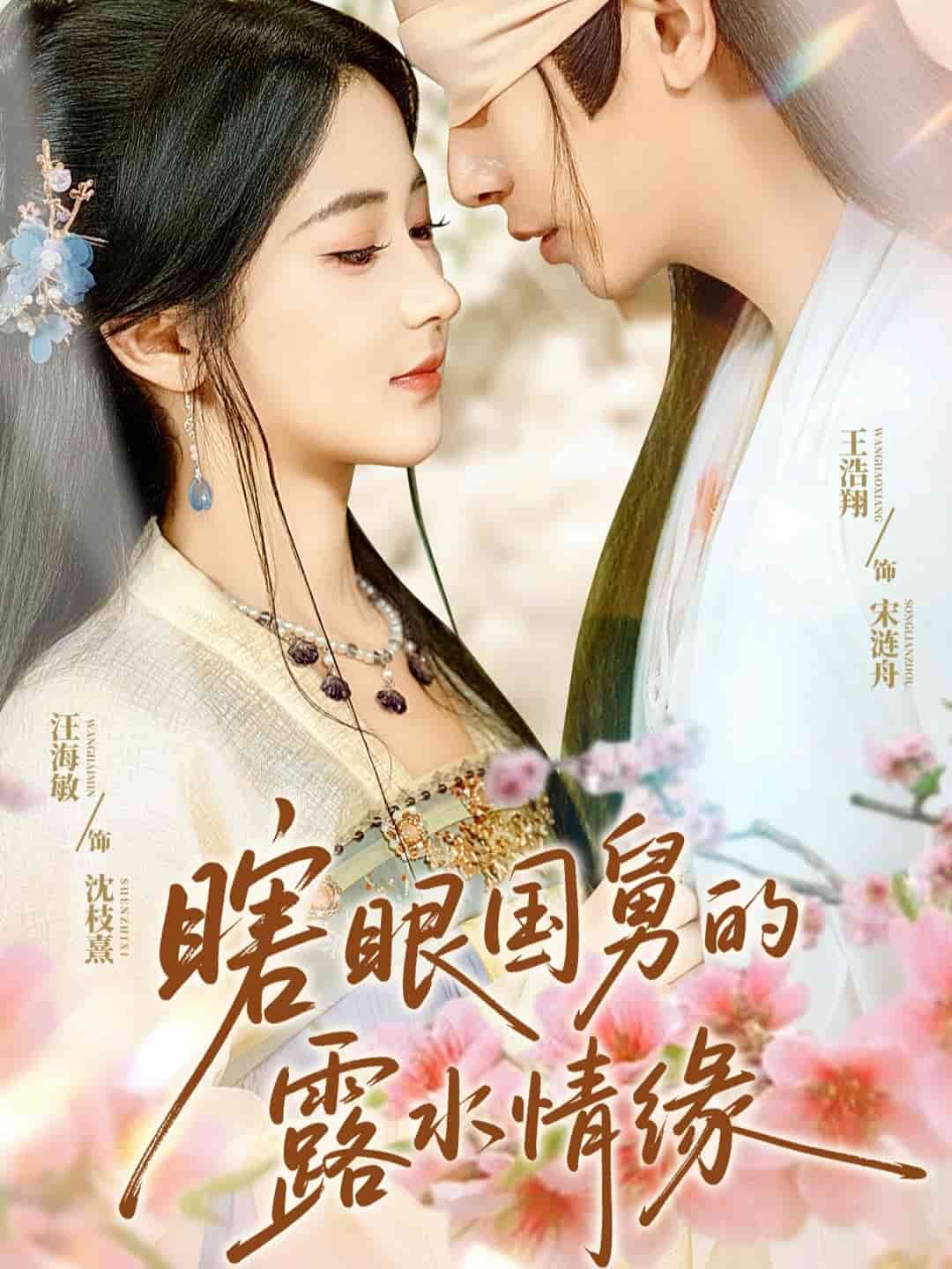 瞎眼国舅的露水情缘的封面图