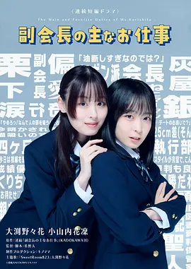 副会长的主要工作