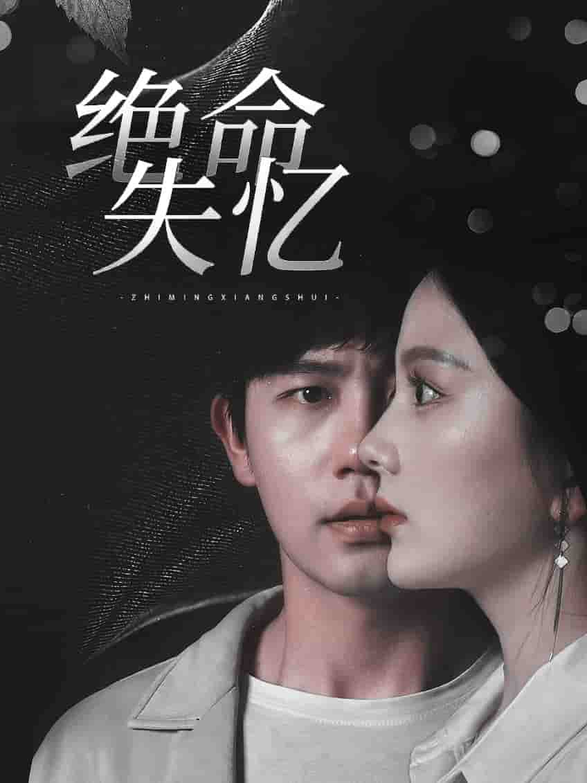 绝命失忆高清观看免费