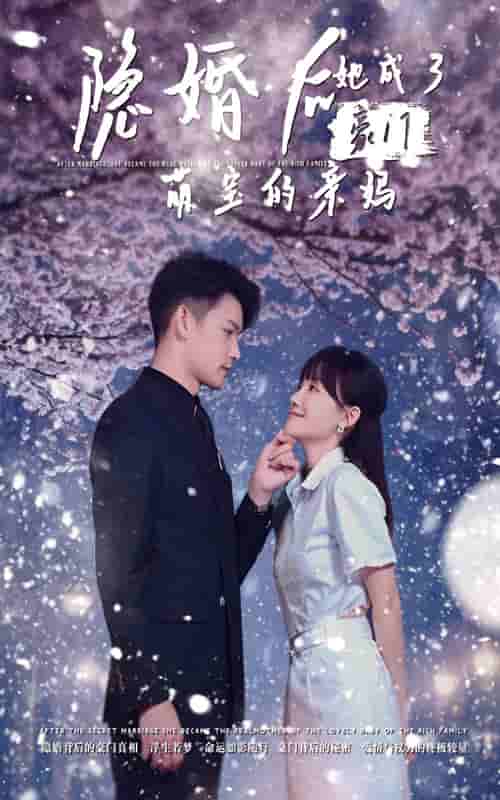 隐婚后,她成了豪门萌宝的亲妈 封面