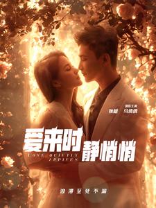 爱来时静悄悄 封面