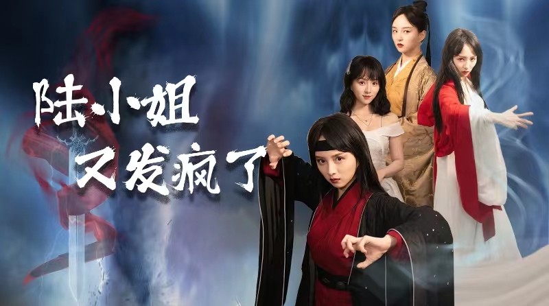 陆小姐又发疯了 封面
