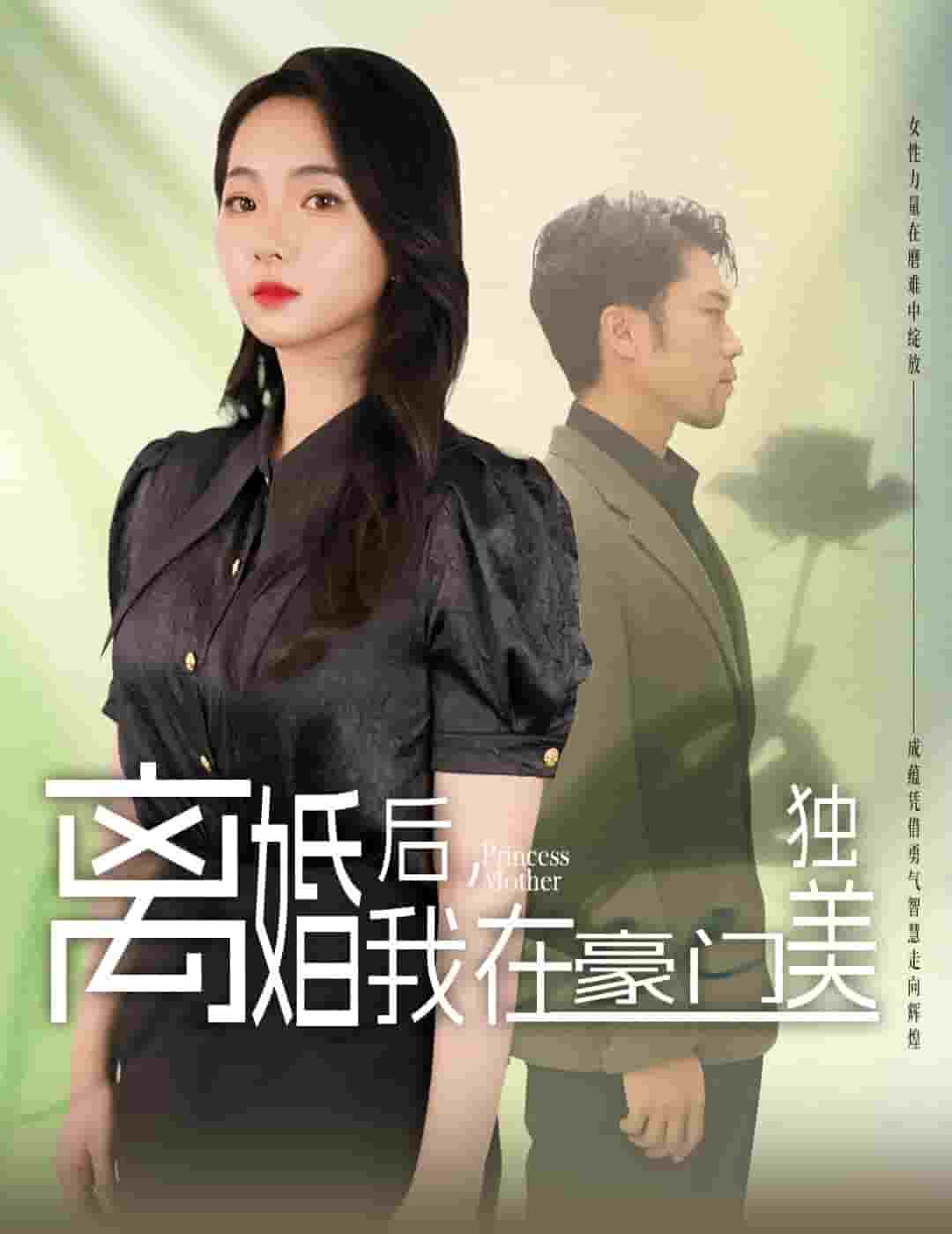 离婚后，我在豪门独美 封面