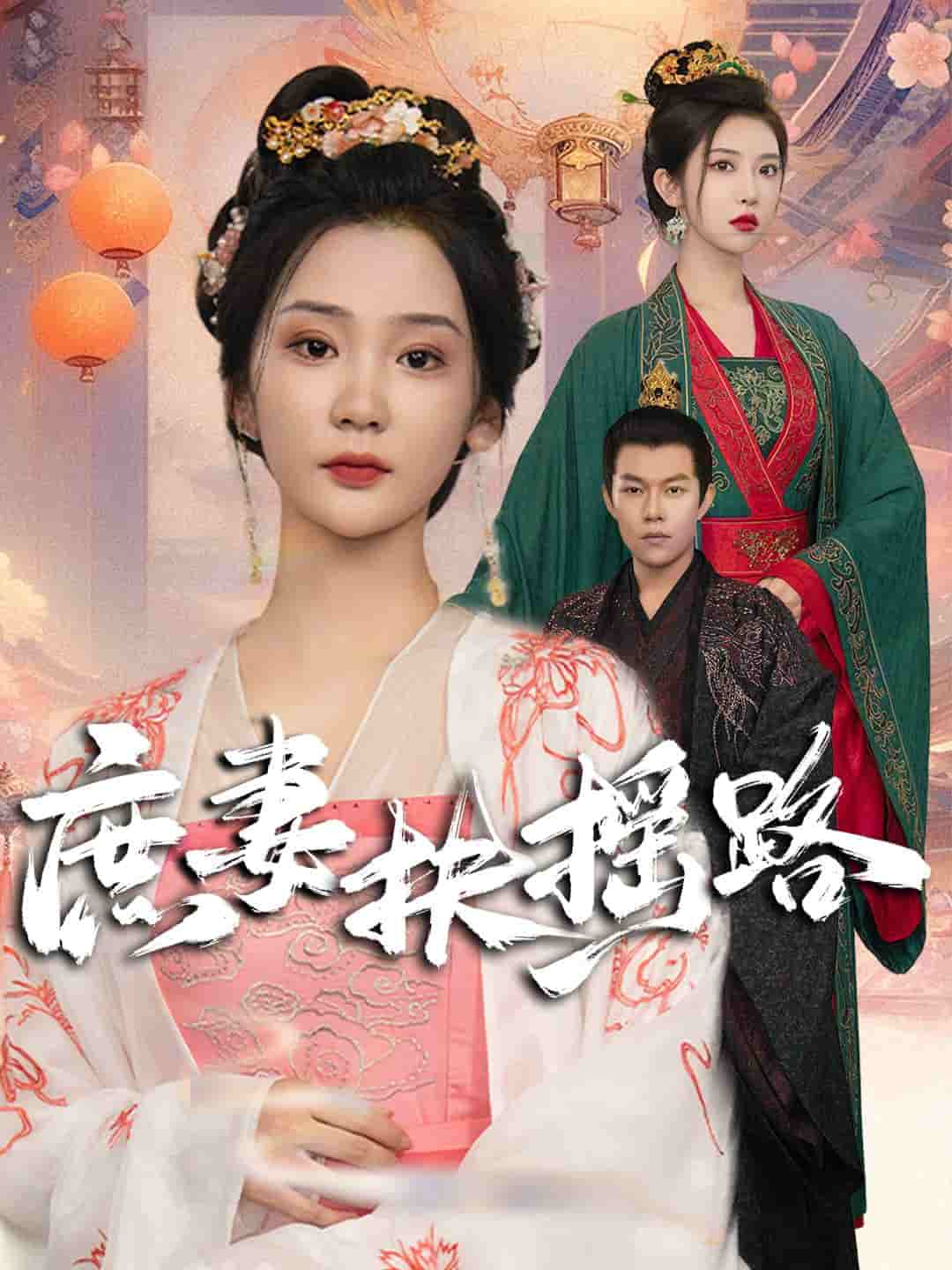 庶妻扶摇路 封面