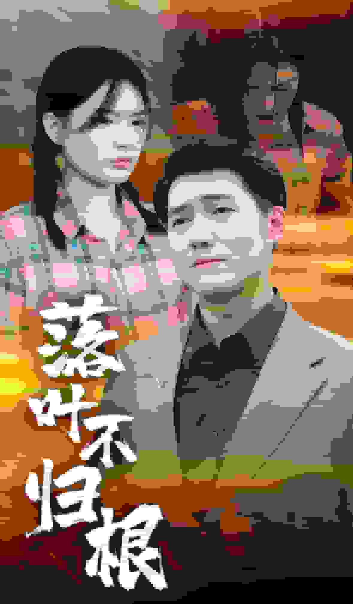落叶不归根 封面