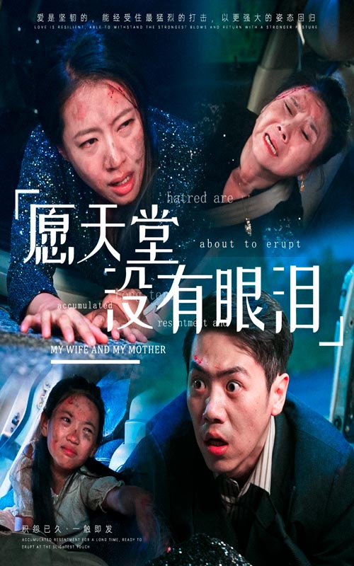 愿天堂没有眼泪 封面