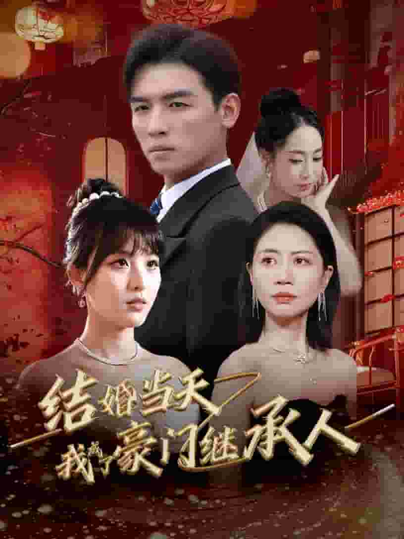 结婚当天我成了豪门继承人 海报