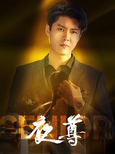 夜尊 封面