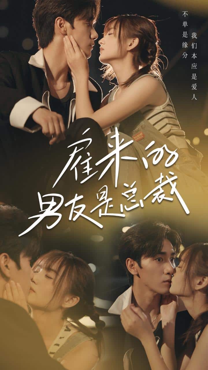 雇来的男友是总裁 封面
