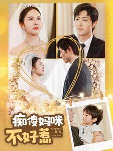 痴傻妈咪不好惹 封面