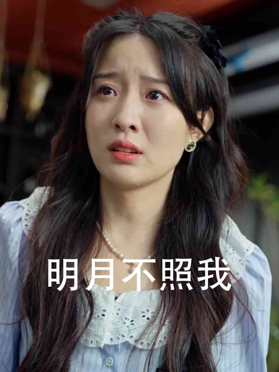明月不照我 封面