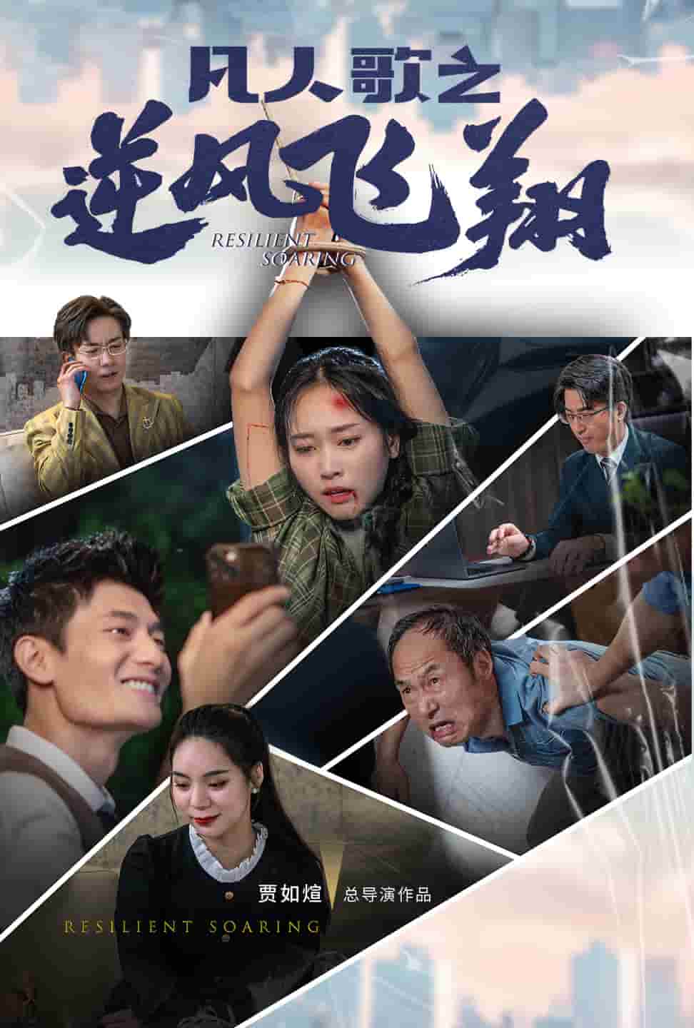 凡人歌之逆风飞翔 封面
