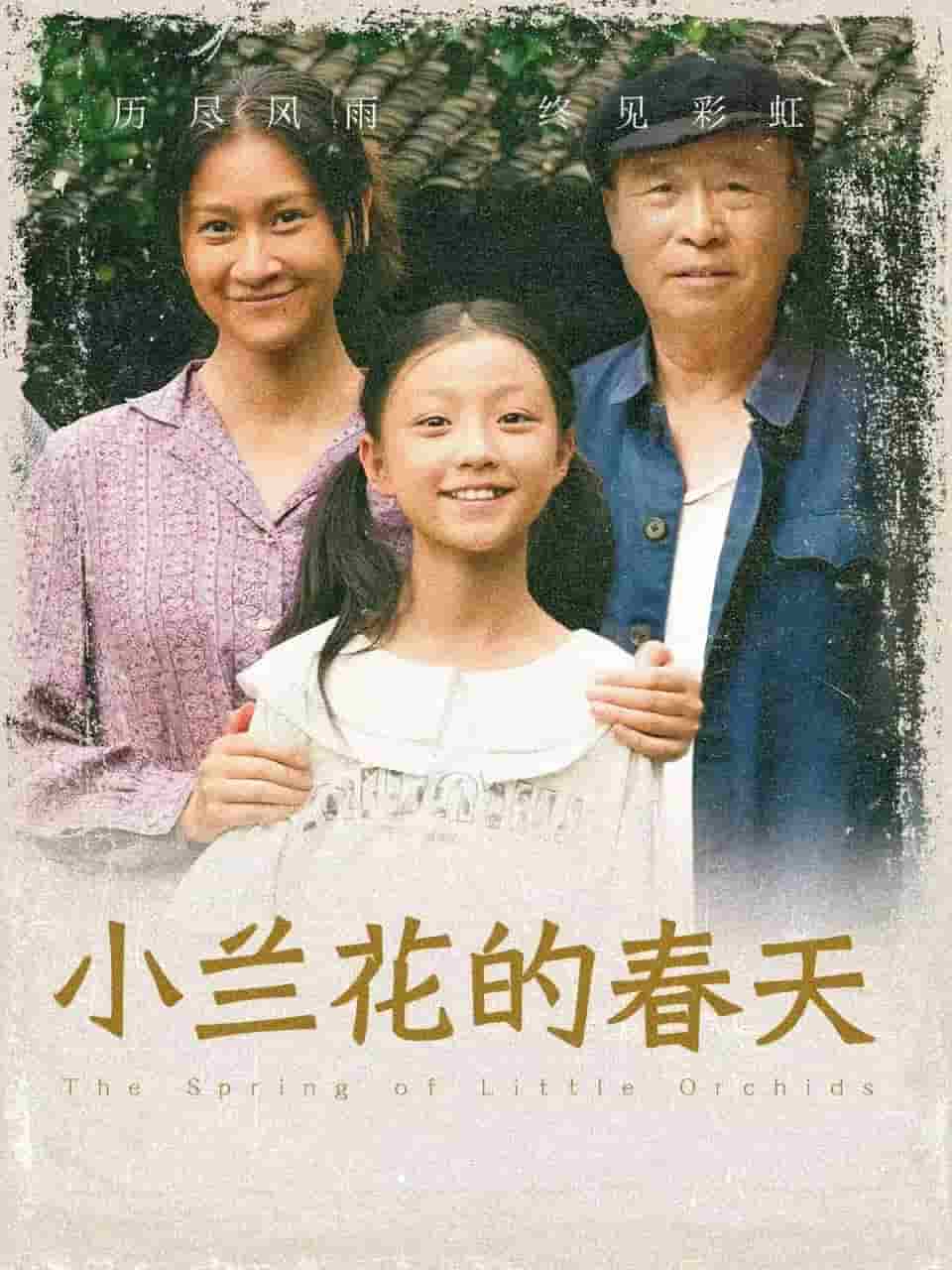 小兰花的春天 封面