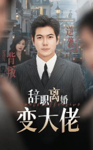 辞职离婚变大佬 封面
