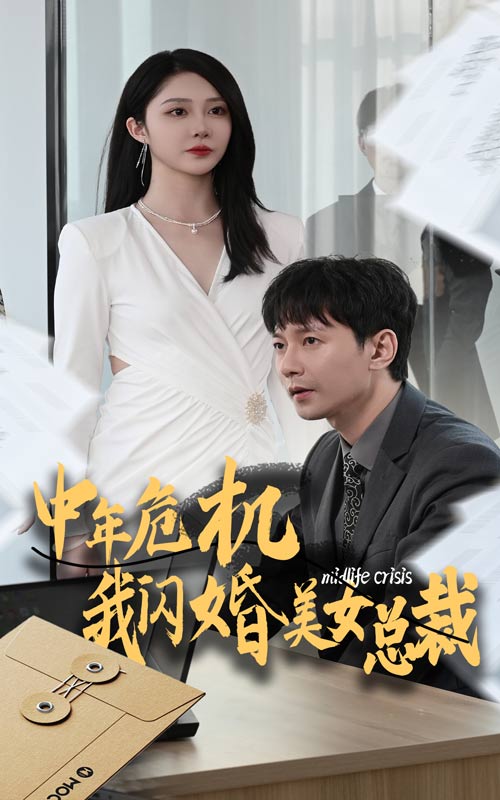中年危机我闪婚美女总裁 封面