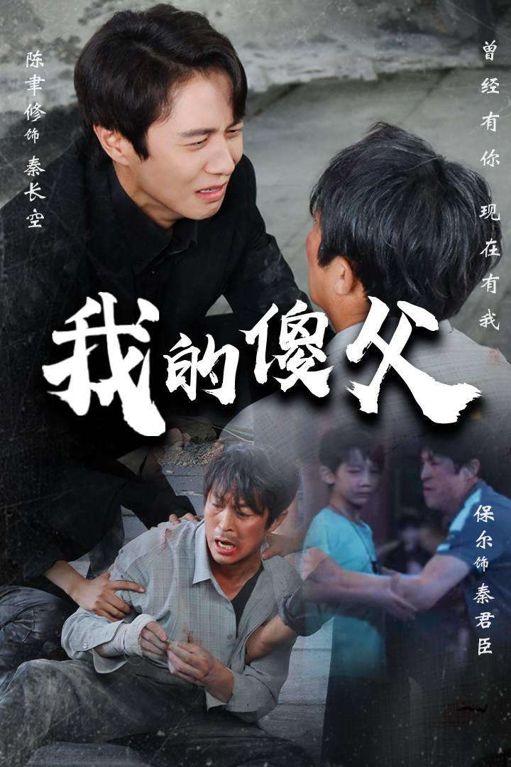 我的傻父 封面