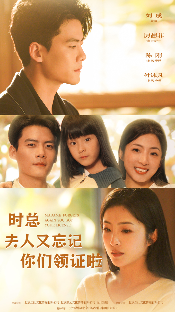 时总,夫人又忘记你们领证啦 封面