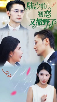 陆少的初恋又撒野了 封面