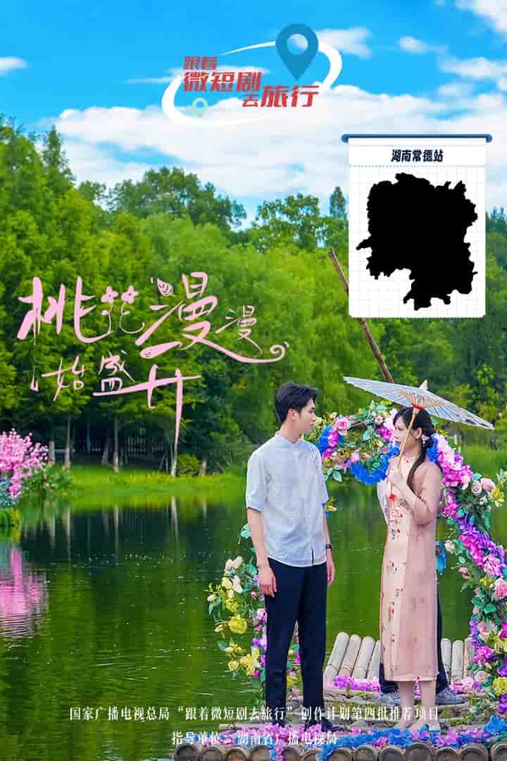 桃花漫漫始盛开 封面
