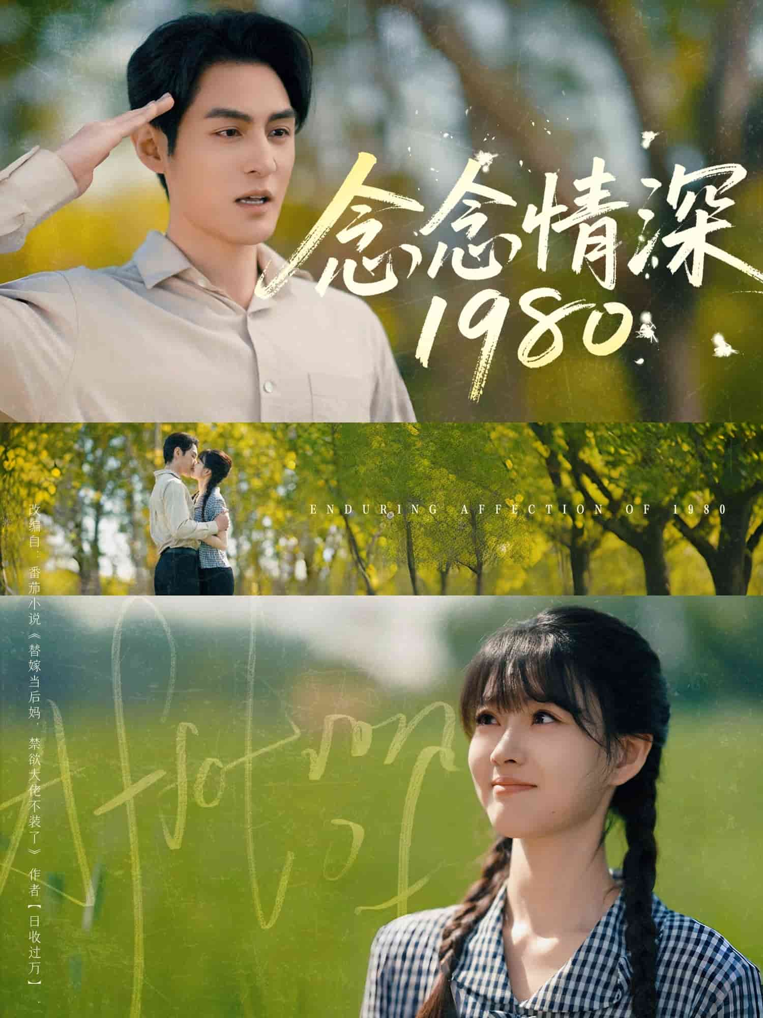 念念情深1980 海报