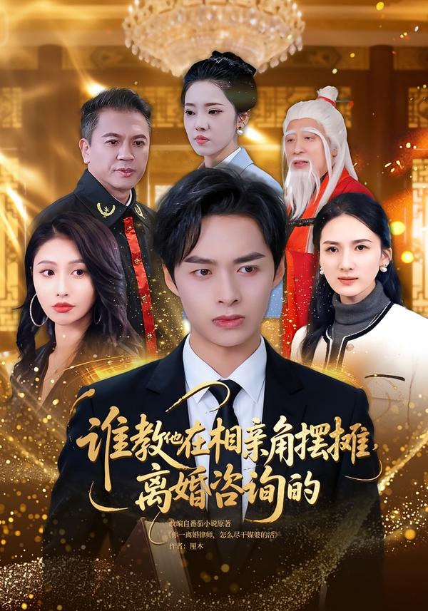 谁教他在相亲角摆摊离婚咨询的 海报