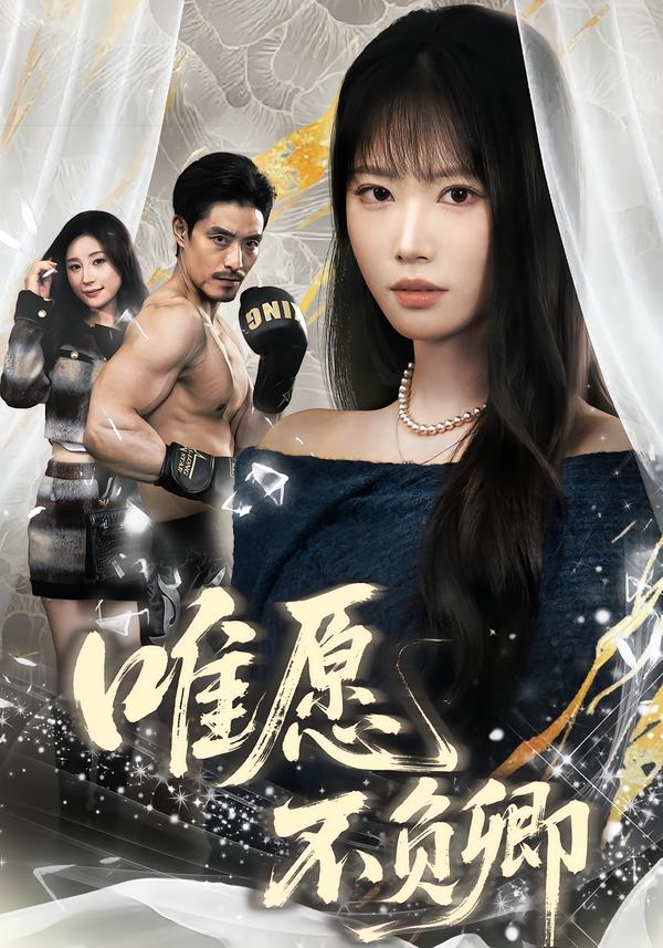 唯愿不负卿 海报